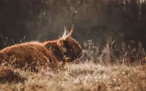 Za Jak Dlouho Zabere Klacid